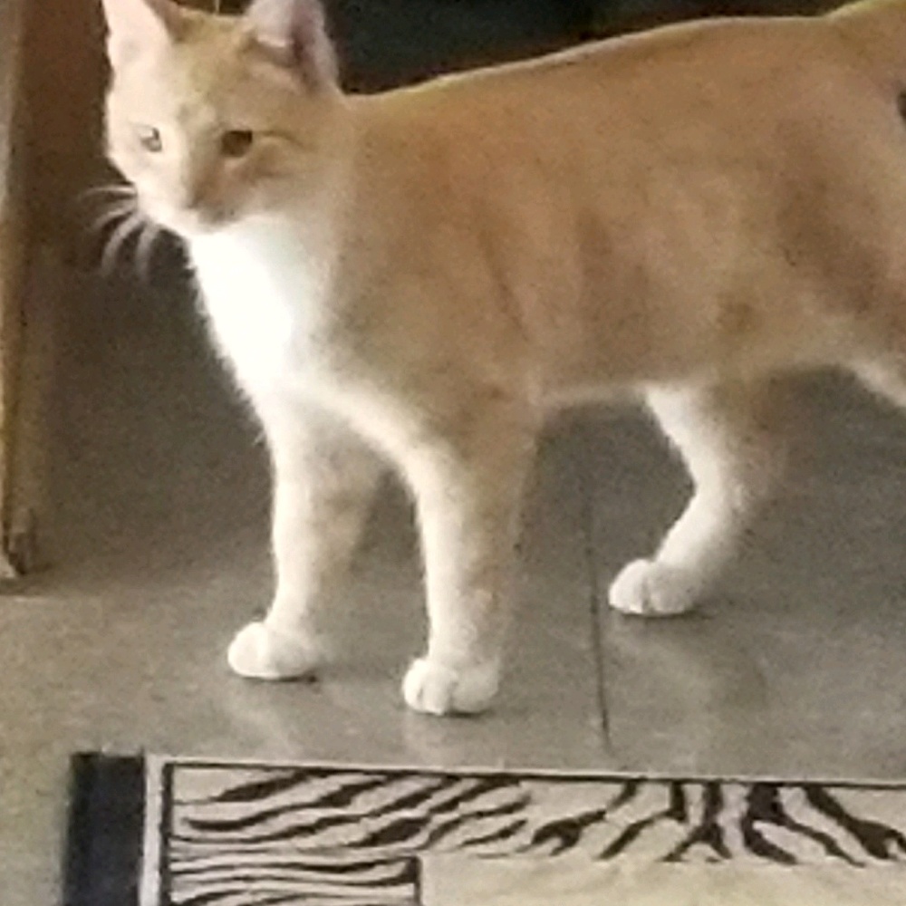 Meet your Posher, Alarice